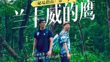 四座氢内燃飞机原型机在沈阳完成首飞