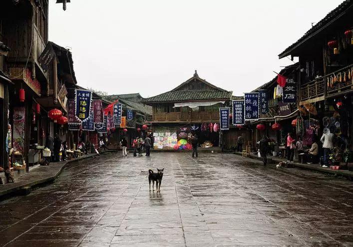 上海浦东唐城绿地文化公园赏心悦目